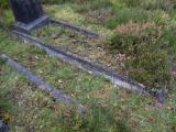 image of grave number 910597